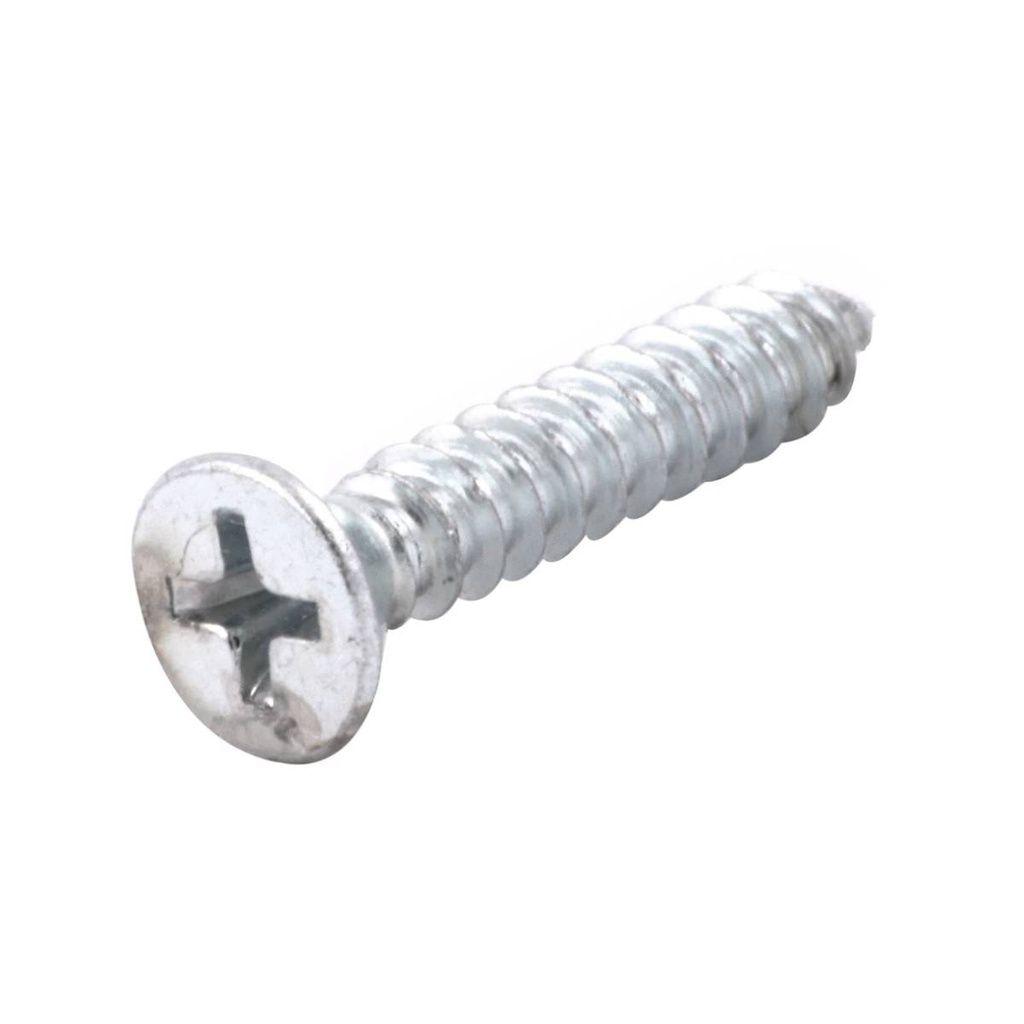 PIJA CABEZA PLANA PHILLIPS GALVANIZADA PUNTA TIPO AB #8 x 1'' (Precio x Pieza- caja c/1000 piezas)